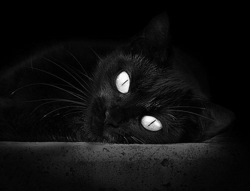 葡萄牙速胜阿根廷友谊赛,萨拉赫英超争冠关键战接管比赛