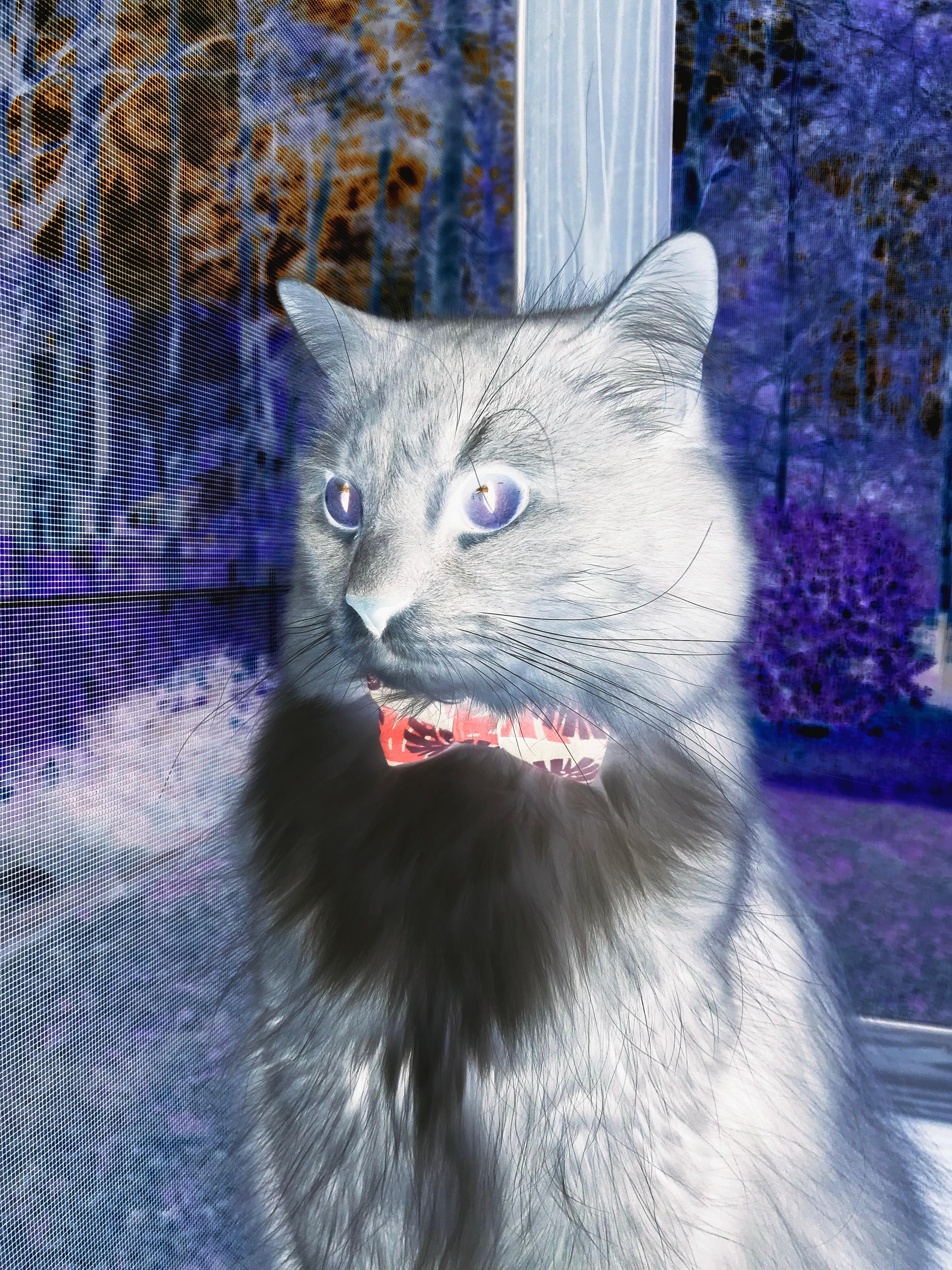 单挑神迹，莫兰特在摩纳哥隧道里抹杀了F1的悬念