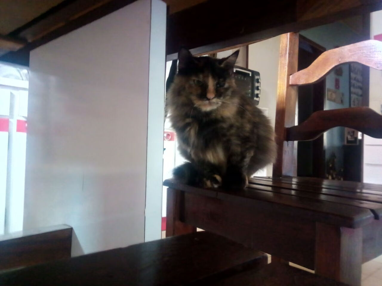 最不会投篮的巨星，森林狼凭什么撕碎雄鹿夺冠梦？