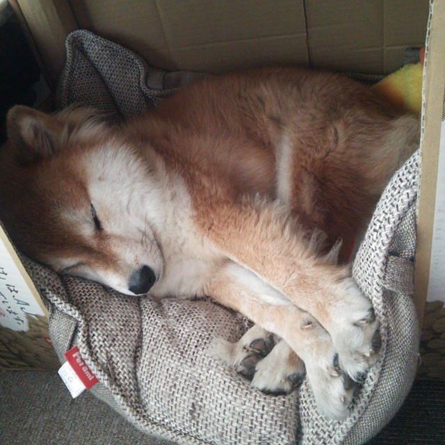 独舞封神！拉文终场绝杀撕裂夜空，赛后评分拉满诠释何为超级巨星