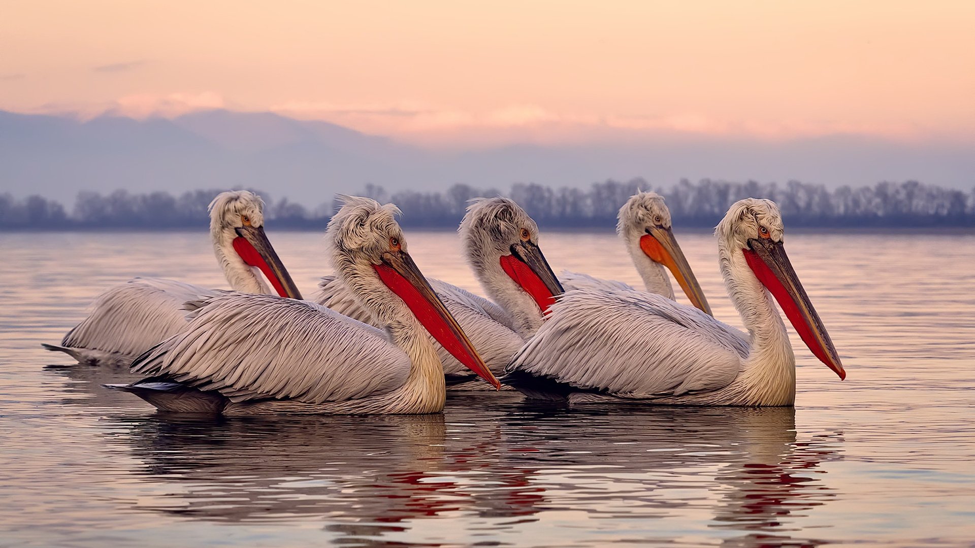 从金玟哉的铜墙铁壁到牙买加的闪电风暴,防守艺术与反击美学的足球对话