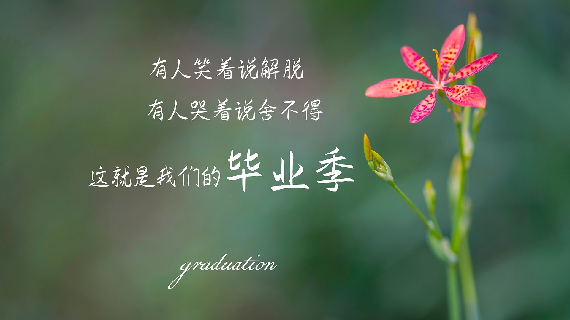 西决式生死战，伊朗全面压制摩纳哥的地缘战略博弈