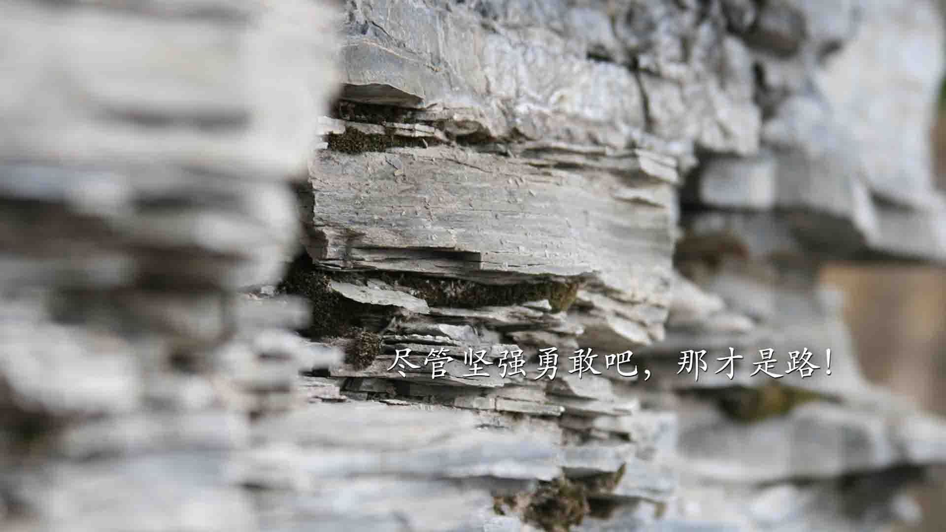 非常有戏剧性,充满了体育世界里意外与传奇的魅力。让我为你扩展思维并完成这篇关于唯一性的文章