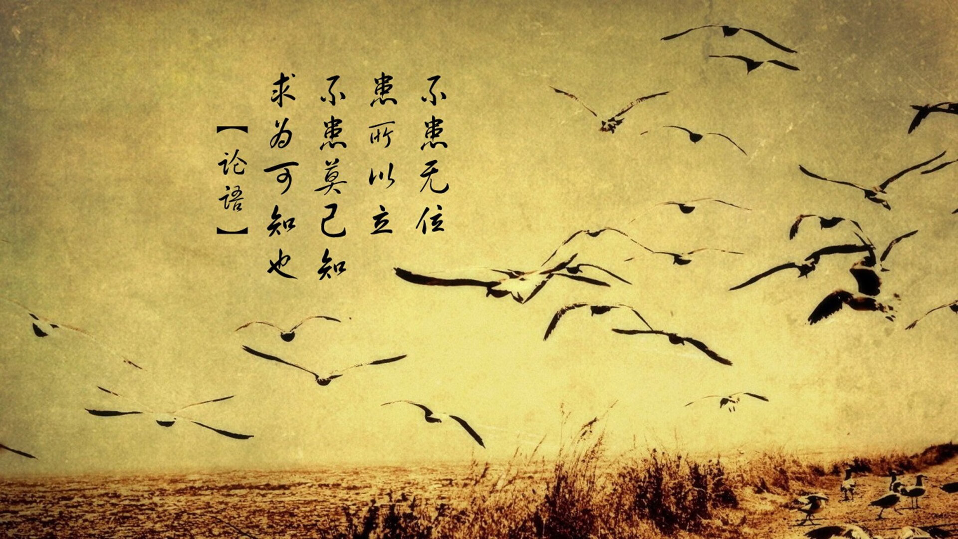 以下为您构思的标题与文章