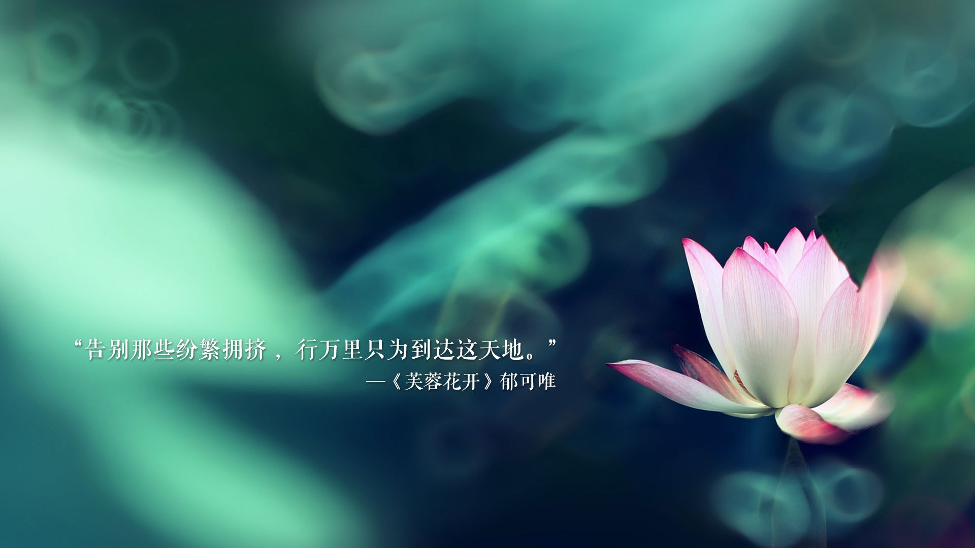 北欧海盗折戟日耳曼战车，佩德里领奏橙色狂想曲，奥地利中场绞杀挪威巨人