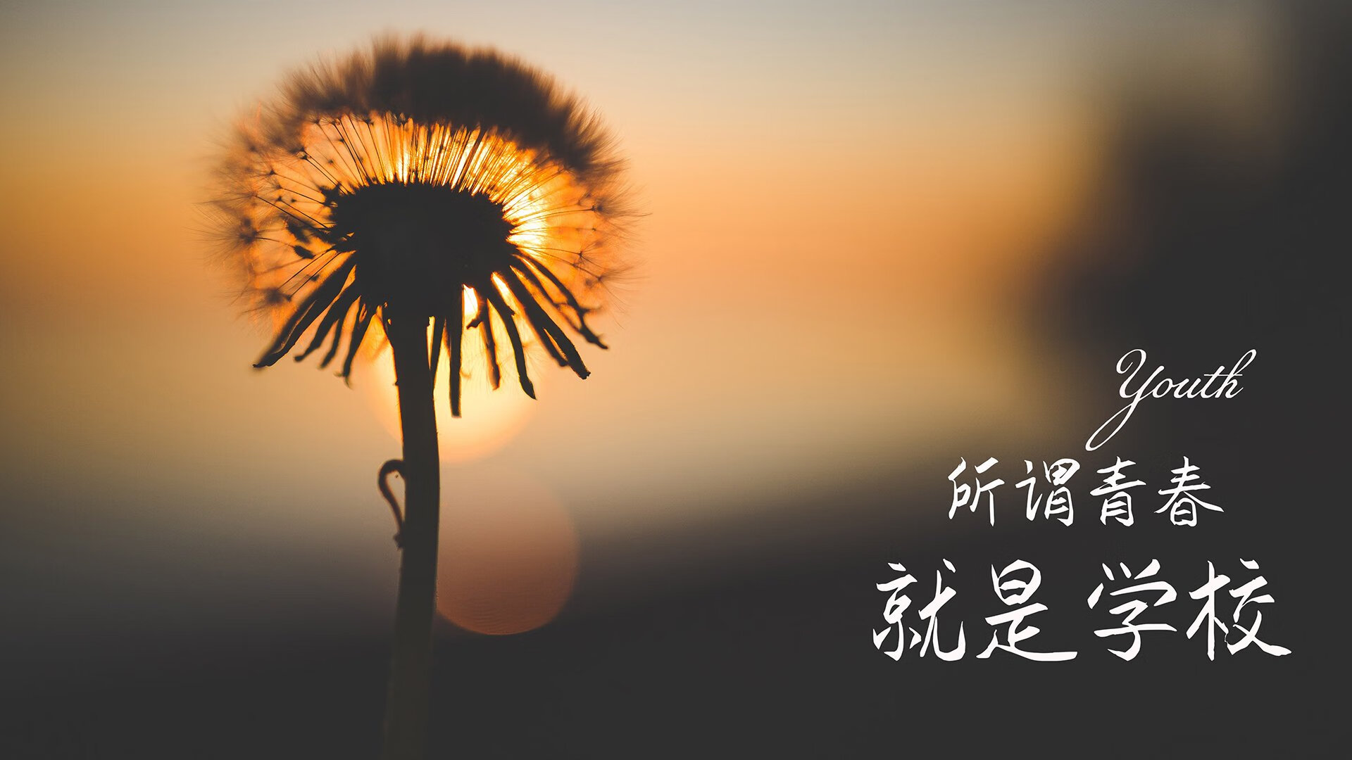 开云体育-唯一的棋局，当冰岛的极光淹没沙漠，莫德里奇在棋盘上写下绝唱