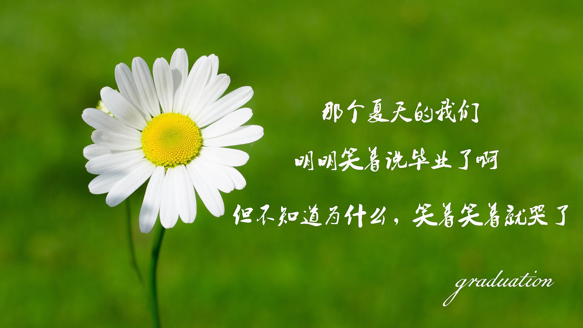 开云体育入口-生死战，钢铁防线筑就奇迹，橙衣战神戴维斯一剑封喉，捷克完胜智利挺进八强