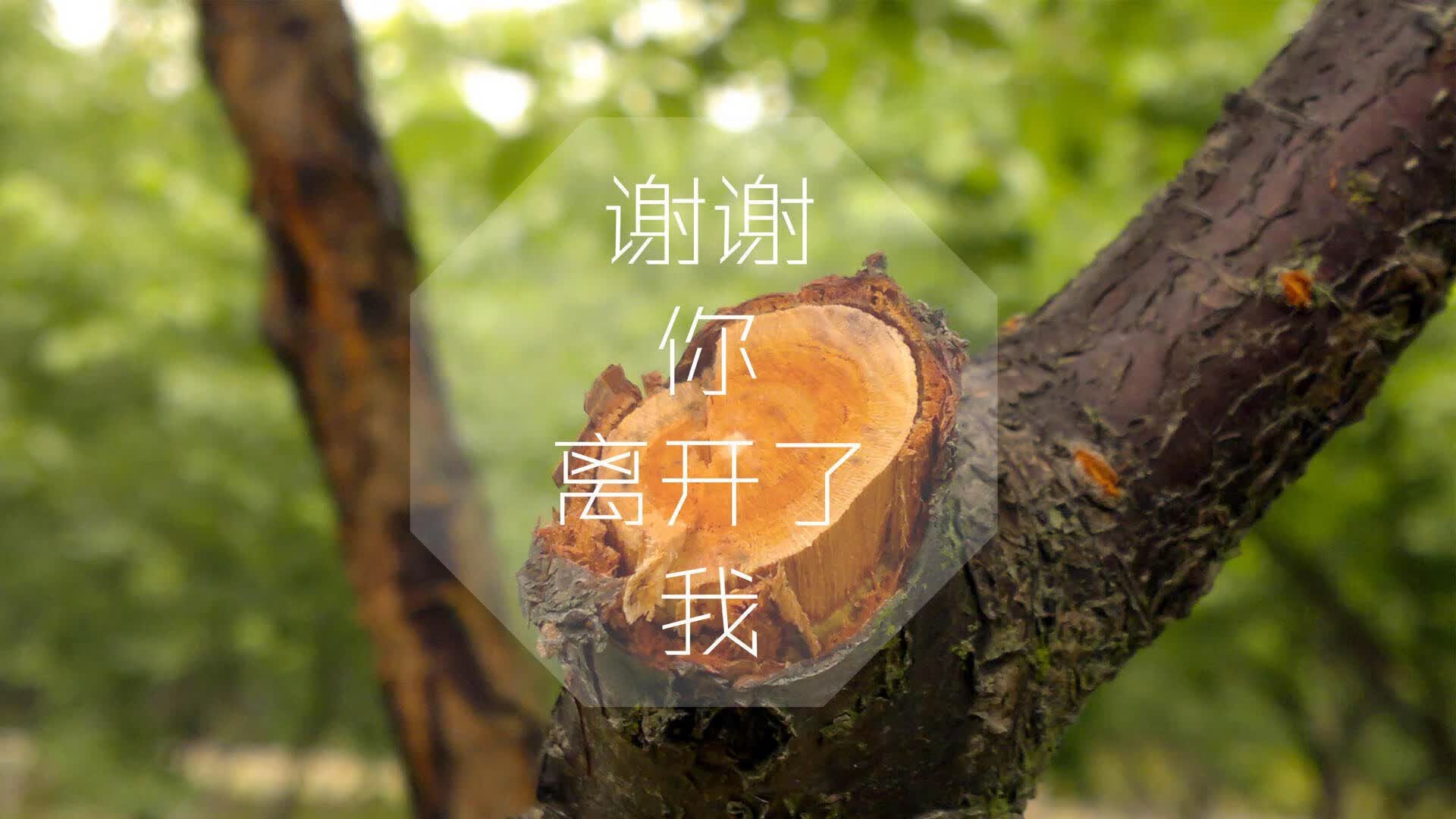 开云sport-库尔图瓦的2026，一场不可能的重演，和所有门将的孤勇