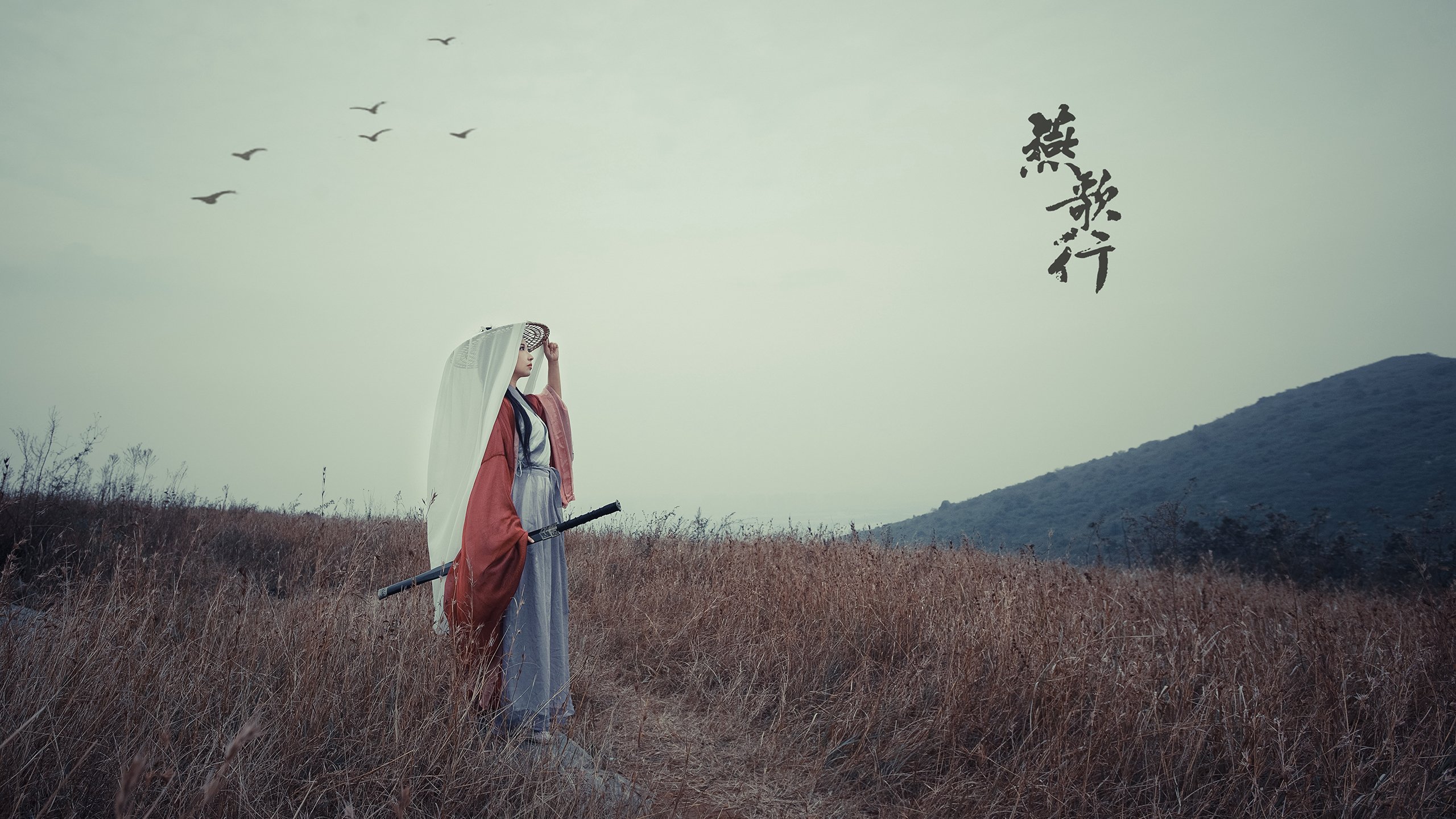 （三个备选，供你选择）